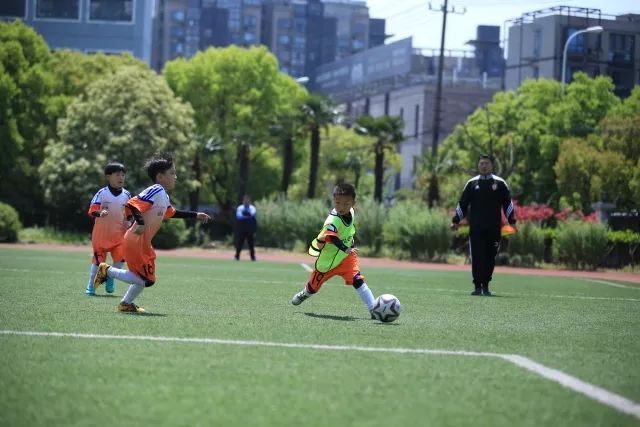 NBL总决赛首战陕西队罢赛 联赛正深入调查此事